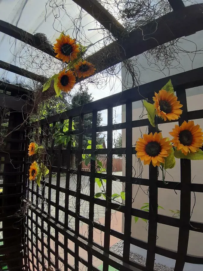 Homestay Pokoje Kwiatowe Chwaszczyno Apartment Poland